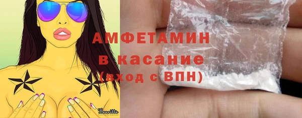 сатива Карпинск